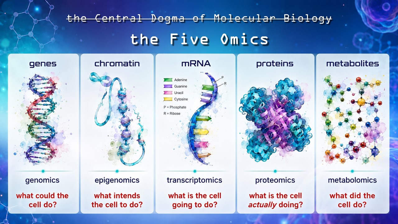 Teaching diagram comparing genomics, epigenomics, transcriptomics, proteomics and metabolomics as complementary layers of omics data.