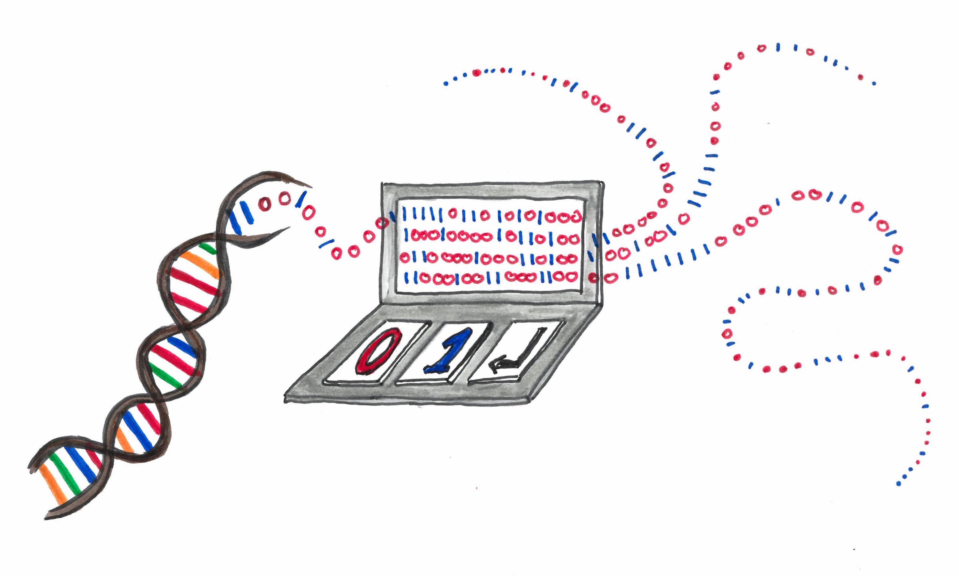 Hand-drawn illustration of DNA, binary code and bioinformatics analysis.