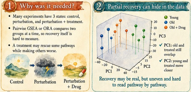 Infographic explaining the Onsager prominence model